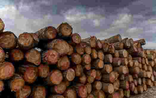 2022年4月7日起我国将对部分原产于新西兰的木材和纸制品实施协定税率