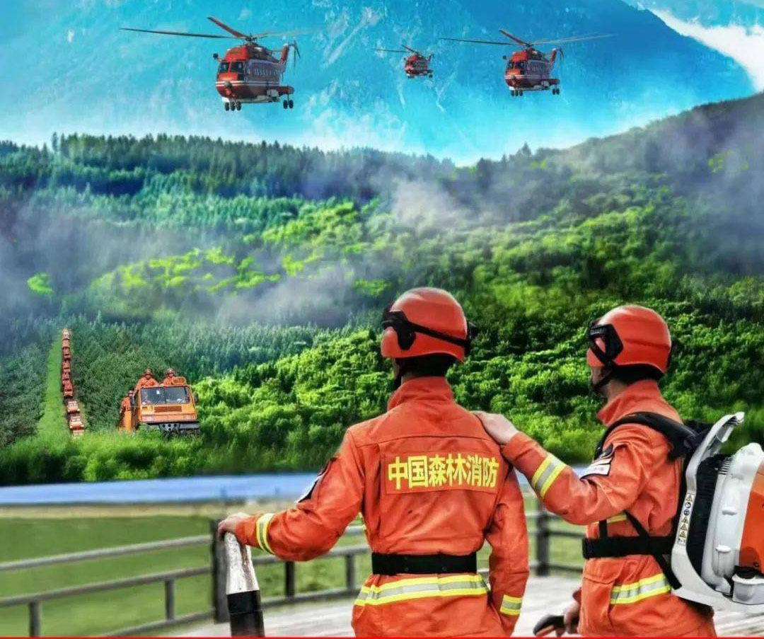 应急管理部消防救援局消防救援局审计服务采购项目中标公告