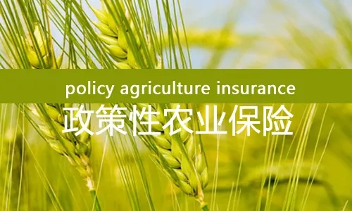 北京市农业农村局-政策性农业保险项目审计服务采购项目中标公告